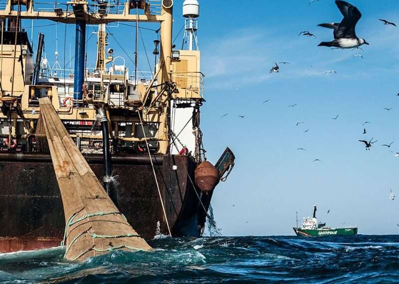 Gustavo Rachid Rucker, Análisis sobre Pesca ilegal; Un peligro a la seguridad internacional